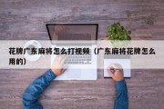 花牌广东麻将怎么打视频（广东麻将花牌怎么用的）