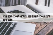 广东富豪红中麻将下载（富豪麻将红中血流下载曾志伟）