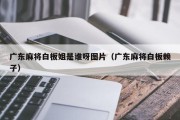广东麻将白板姐是谁呀图片（广东麻将白板赖子）