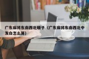 广东麻将东南西北顺子（广东麻将东南西北中发白怎么算）