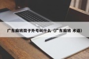 广东麻将筒子外号叫什么（广东麻将 术语）