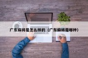 广东麻将是怎么样的（广东麻将是哪种）