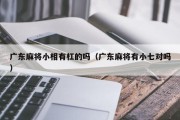 广东麻将小相有杠的吗（广东麻将有小七对吗）