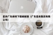 星辰广东麻将下载破解版（广东星辰集团有限公司）